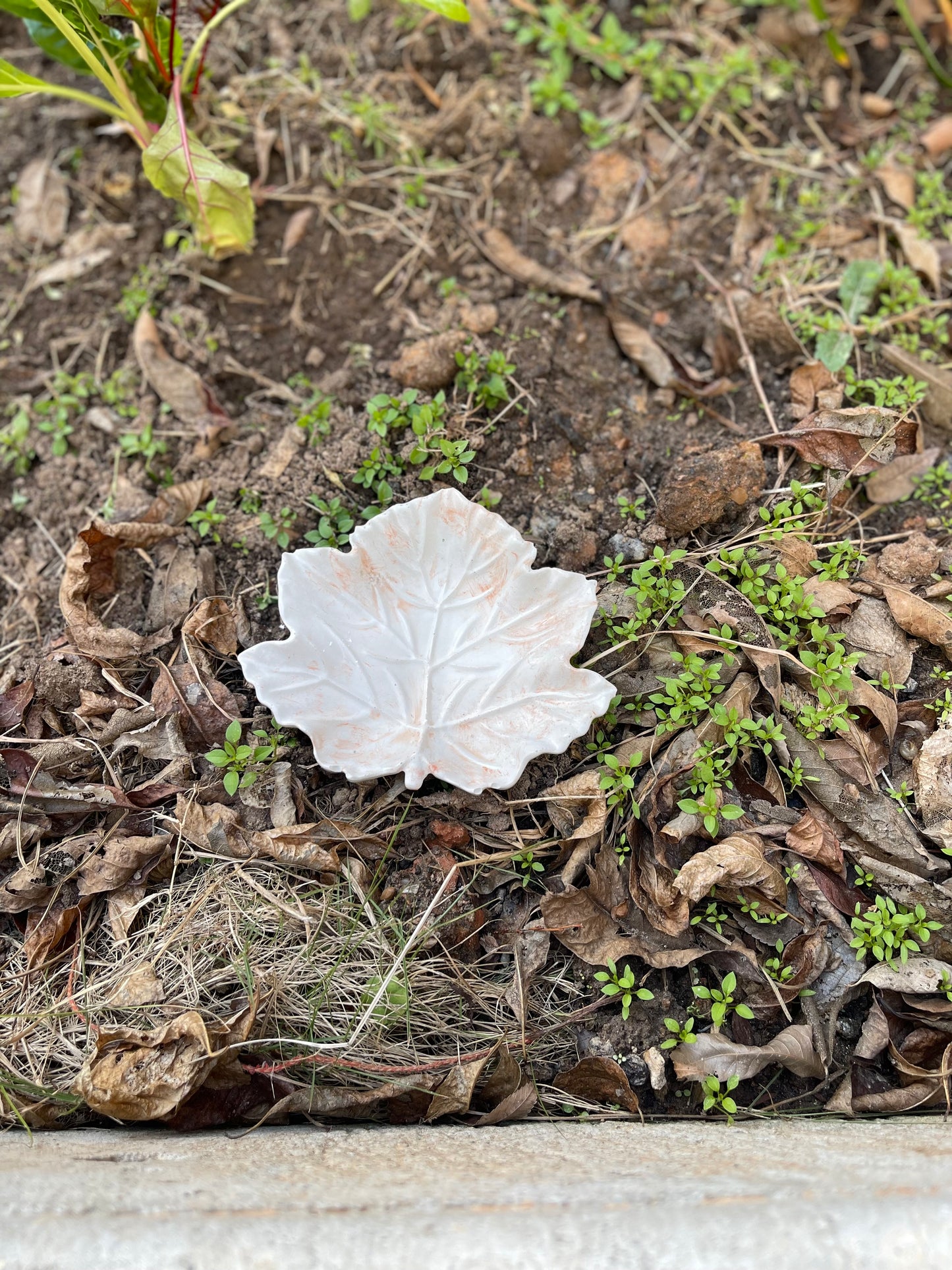 A leaf Holder